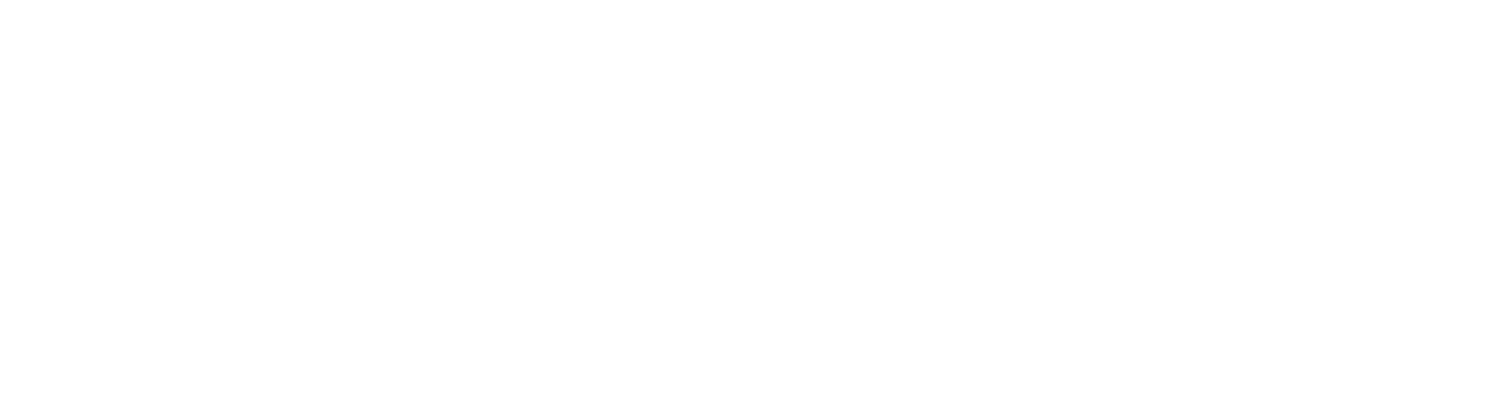 The CityReporter logo in white